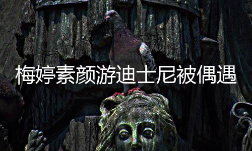 被偶梅婷排队低调素颜士尼四口游迪遇 一家气接地